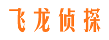 温泉市私家侦探